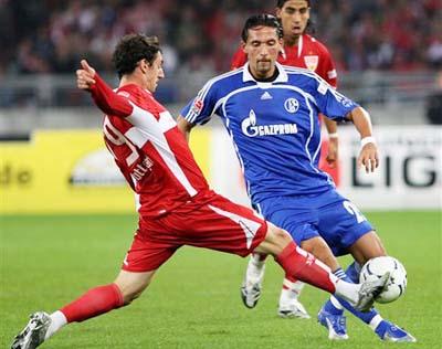 家属必须对 家属必须对